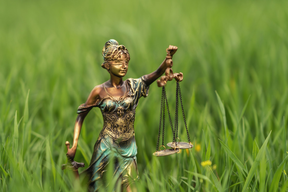 Choisir le bon statut juridique pour son entreprise: un enjeu crucial pour les entrepreneurs