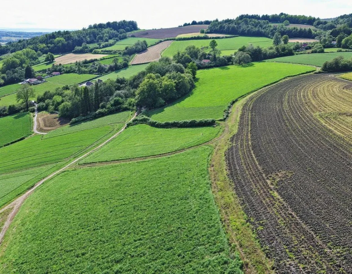 L'Assurance Multirisque Agricole : Protection Complète pour les Exploitants Agricoles